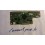 3969tp cpwbx runtk carte t-con SHARP